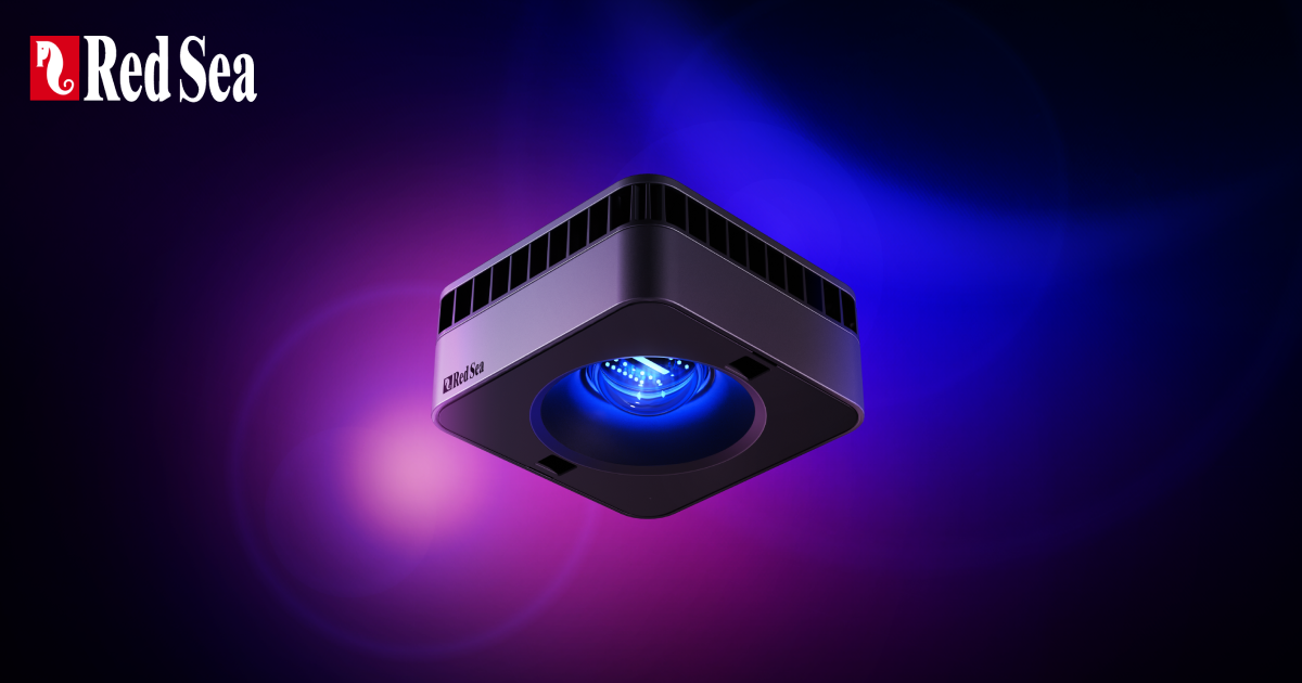 Share-image.product-name.png